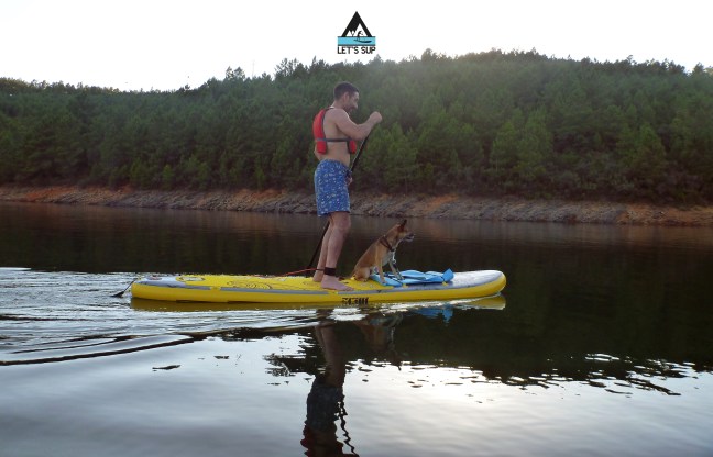 let's sup dog friendly portugal