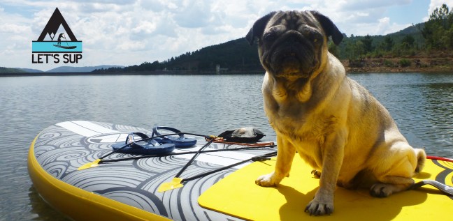 p1190058 - blog lets sup3